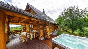  BeaR's LOG  Селиште Дрежничко